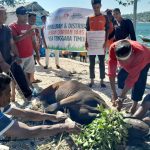 DSH Jangkau Pelosok Negeri dengan Program Qurban “Aku Iso Qurban”