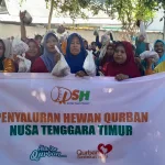 Sukses Distribusikan Hewan Kurban 1446 H, Jangkau Ribuan Jiwa di Klaten dan Luar Klaten